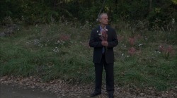 cinemaphiles:  Broken Flowers (2005) dir. Jim Jarmusch