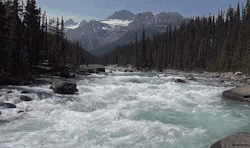 mizar113:  The Rockies.