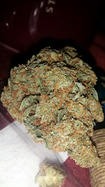 dabcandycannabis:  This is the nug I got yesterday. 