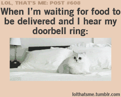 Just Funny Pictures