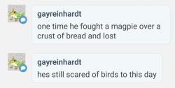 syyd:  junkrat is afraid of birds and cant eat sandwiches outside