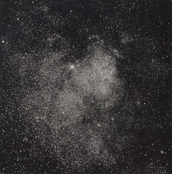  Edward Emerson Barnard, Milky Way Near Messier 11, (1892) Photographed