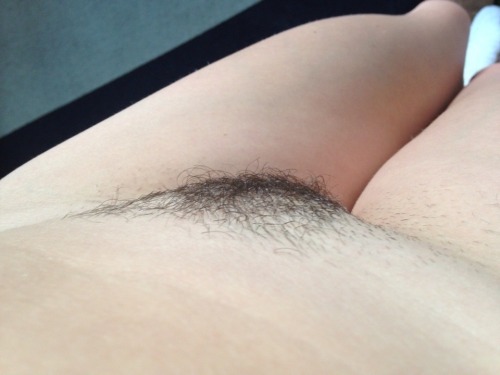 confessionsofateenperv:  Im growing my bush…. heres how it looked this morning :) http://confessionsofateenperv.blogspot.co.uk/ please please please reblog my posts…. i want to get lots of followers :) 