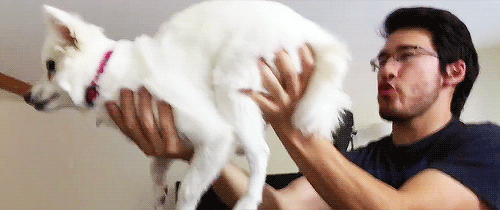 jamesangel:  space dog 