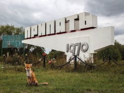 the-monumentalist:Pripyat Town Sign Completed: 1970 Chernobyl