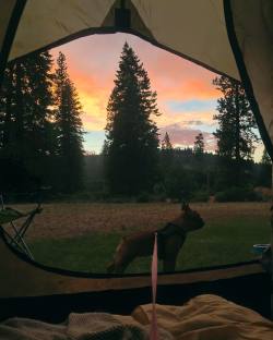 night 1: glamping in Weed, CA |🍁⛺️ next stop Oregon! (at