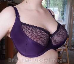 ms-curves:  Another review from the blog Bras and Body Image,