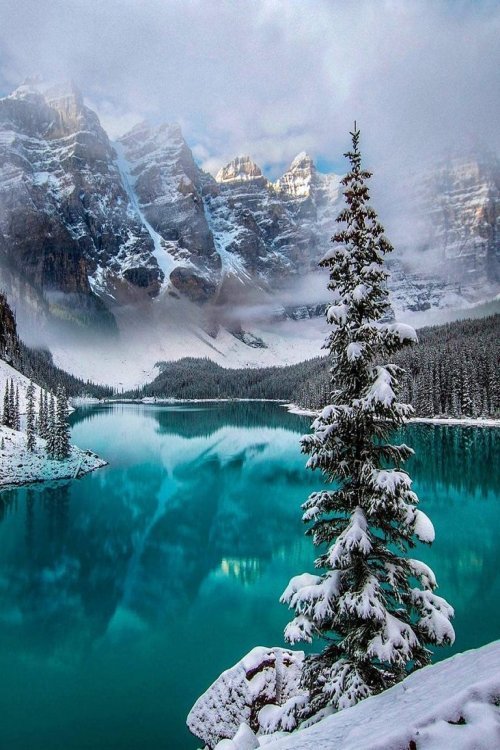 renamonkalou:    Banff National Park - Moraine Lake | @motherpixels