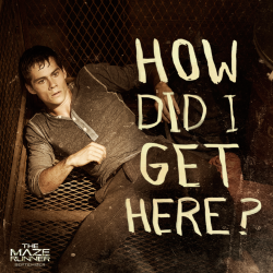 mazerunnermovie:  Each question leads to another. 
