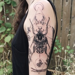 ponyreinhardt: Rorschach-esque Goliath beetle with crescent moon,