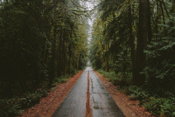 alexstrohl:4 days in the Olympic Peninsula, WAMore of my work