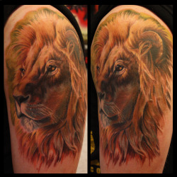 marieller:  The lion tattoo finished! The first realistic lion