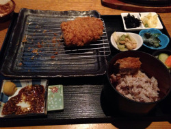 Eating dinner at a really authentic Japanese tonkatsu restaurant!!