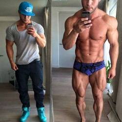 Adonis Files