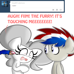 ask-albino-pie:  DON’T FURRIES KNOW THAT YOU CAN’T TOUCH