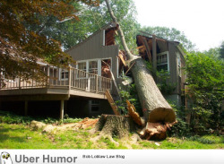 omg-pictures:  Lumberjacks that don’t have much skillhttp://omg-pictures.tumblr.com