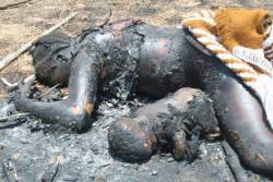 darvinasafo:  Over 2000 Dead in Nigeria 
