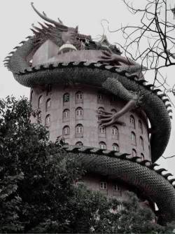 celticknot65: Where else since Gaudi would you find this kind