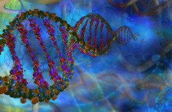 discoverynews:  Breakthrough: DNA ‘Wire’ Carries Electric