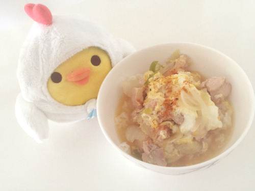 pescamaryan:  pescamaryan:  kiiroitori & my oyakodon XDâ™¡ find me here: pescamaryan   â™¡ find me here: pescamaryan  