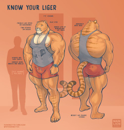 themainkitteh:Added a back view to my ref sheet.
