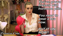 mtftransformation:  Are you wearing your bra?  REBLOG IF YOU