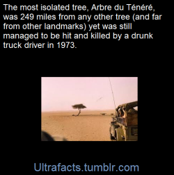 ultrafacts:    In 1973, a reportedly inebriated truck driver