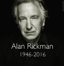 hogwartsfansite:  Raise your wand for Alan Rickman   :’(