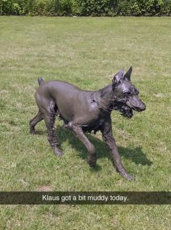 latenightalaska:  I SERIOUSLY THOUGHT THIS WAS A COPPER STATUE