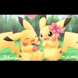 Pikachus in love! Awwww 