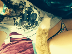 his-angelic-fox:  More pics of my tail and collar from kittensplaypen!!