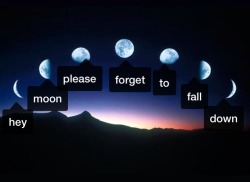  hey moon, dont you go down 