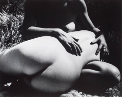 Walter Chappell