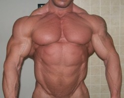 Muscle Bear