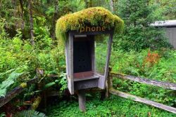 abandonedandurbex:  Mossy phone booth. Hoh Rainforest, Olympic