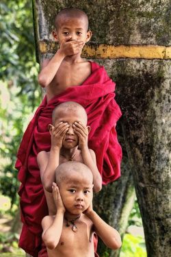 lifeofnichiren:   Such an amazing capture Hear no Evil  See no