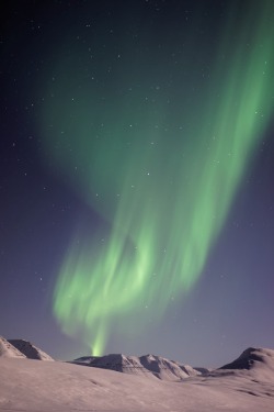 expressions-of-nature:  Northern Lights by Vincent Guth