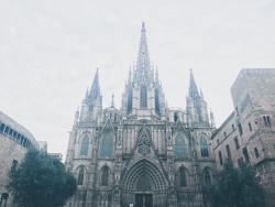 at Barcelona Cathedral https://www.instagram.com/p/BtIDvjCHy_sqlvqT0IRx-qfwAJDhysWhOpTdMQ0/?utm_source=ig_tumblr_share&igshid=bf8uf1kri8ak