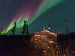 The sky spirits are dancing (aurora over a trapper’s smokehouse,