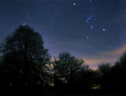 brutalgeneration:  Orion Shines in the Winter Sky by Donegal