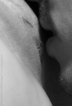 Erotic Moments