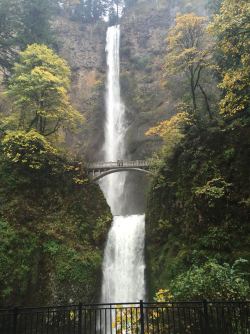 beautifulwaterphotography:  Multnomah falls outside of Portland