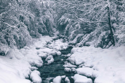 dennybitte:  the old cold riverAustriaby Denny Bitte