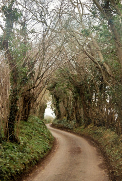 halinkivandamme: Somerset, England Minolta XG-1 