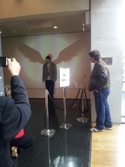 gdayidjits:  They projected wings on the wall yesterday and misha