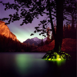 evocativesynthesis:  Aurora (Green), 2007 | Barry Underwood 