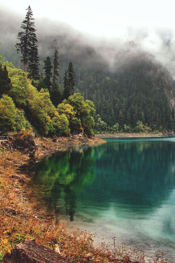 wnderlst:  Limpid Lake, Canada | yunping ren 