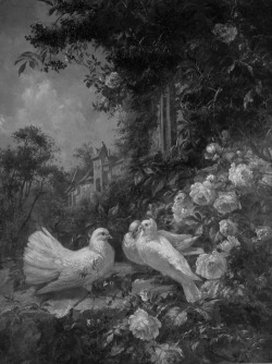 midwinter-tears:  Marie Oesterley (1842 - 1916) - Study of doves
