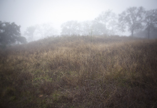 reverendbobbyanger:  Words and images, Reverend Bobby Anger