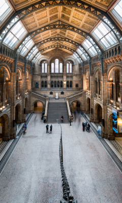 breathtakingdestinations:  Natural History Museum - London - England (by Barney Moos)   Something to see when we go again. 